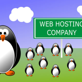 Best Web Hosting Company