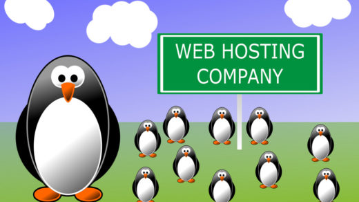 Best Web Hosting Company