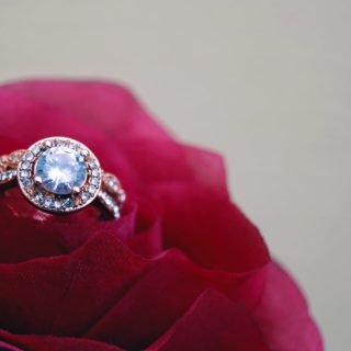 closeup photography of clear jeweled gold colored cluster ring on red rose