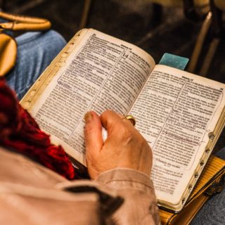 person holding opened book