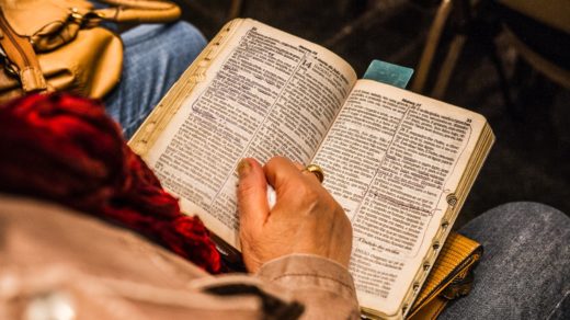 person holding opened book