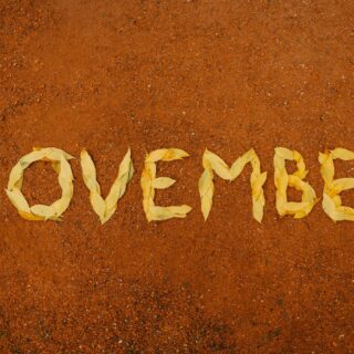 november inscription made from leaves